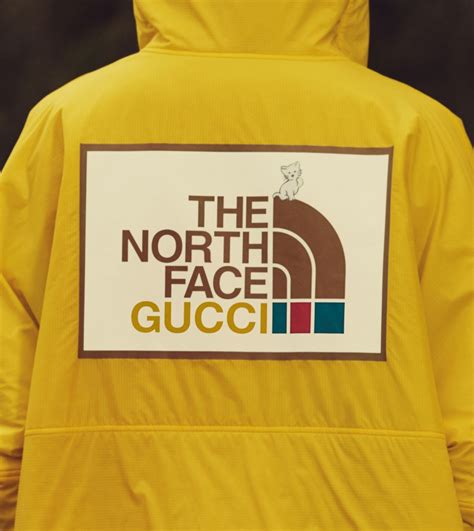 tnf x gucci|Gucci x The North Face: Going Outside Has Never Looked Better .